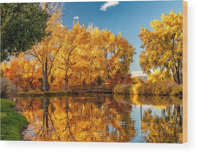 Fall Colors Wood Print featuring the photograph Fall Reflections in Colorado by Tony Hake