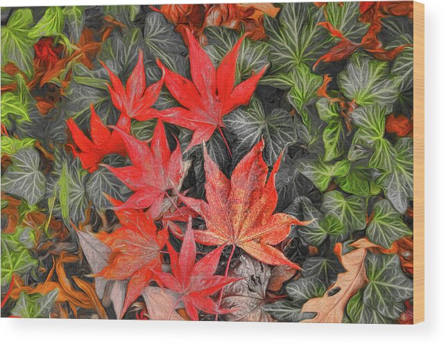 Leaves Wood Print featuring the photograph Fallen Leaves by Ola Allen