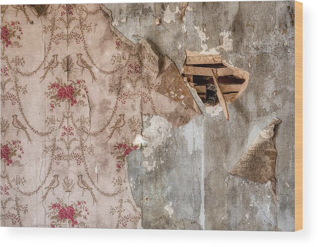 Voorhees Wood Print featuring the photograph Farm House Wall Paper by David Letts