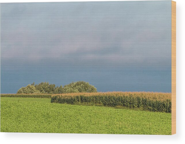 Corn Wood Print featuring the photograph Farmer's Field by Patti Deters