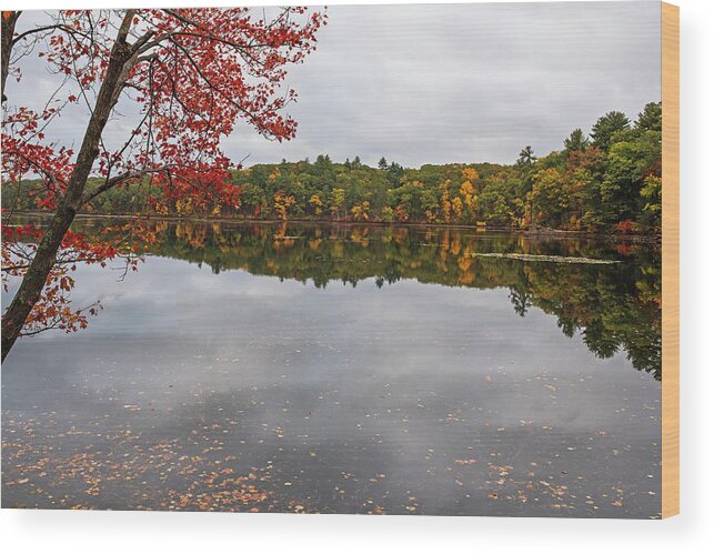 Lincoln Wood Print featuring the photograph Farrar Pond in Lincoln Massachusetts Fall Foliage Autumn Reflection by Toby McGuire