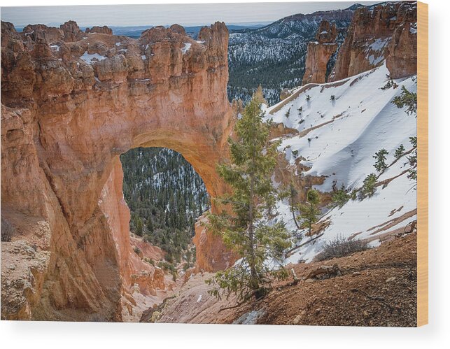 Natural Bridge Wood Print featuring the photograph Farview Point, Bryce Canyon National Park by David L Moore