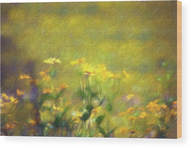 Wildflowers Wood Print featuring the photograph Fields of Gold by Francis Sullivan