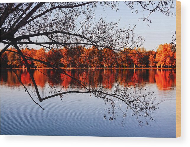 Fiery Wood Print featuring the photograph Fiery colors on the lake by Tatiana Travelways