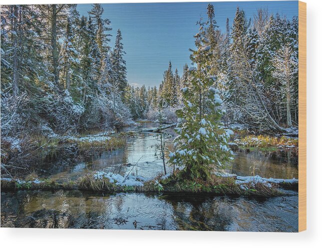 Footsore Fotography Wood Print featuring the photograph First Snow by Gary McCormick