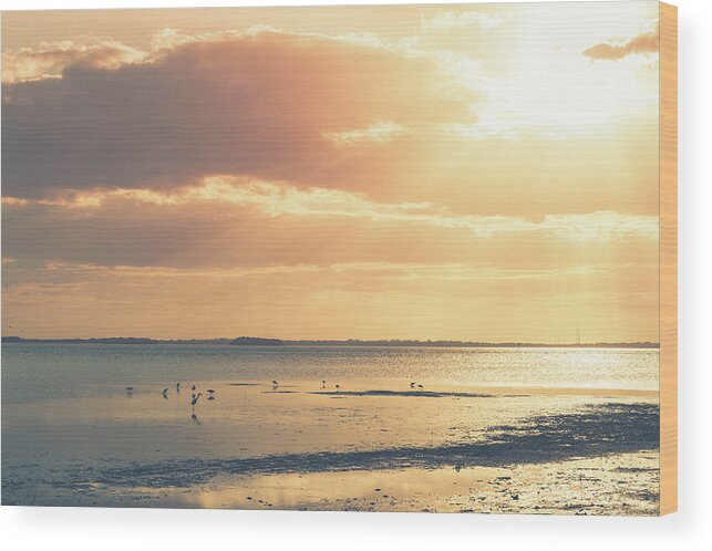 Beach Wood Print featuring the photograph Florida Beach Sunset by Joe Leone