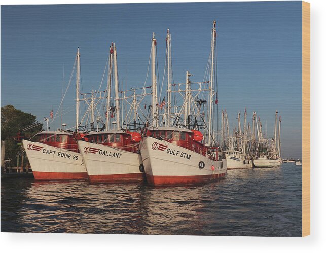 Shrimp Boats Wood Print featuring the photograph Florida Shrimp Boats by David T Wilkinson