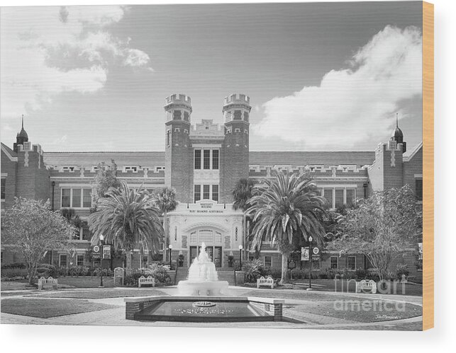 Florida State University Wood Print featuring the photograph Florida State University Westcott Building by University Icons