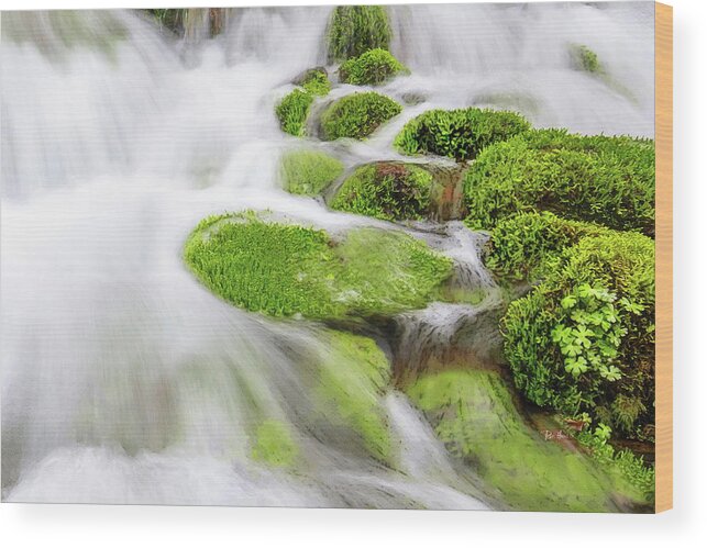 River Wood Print featuring the painting Fluidity of White by Russ Harris