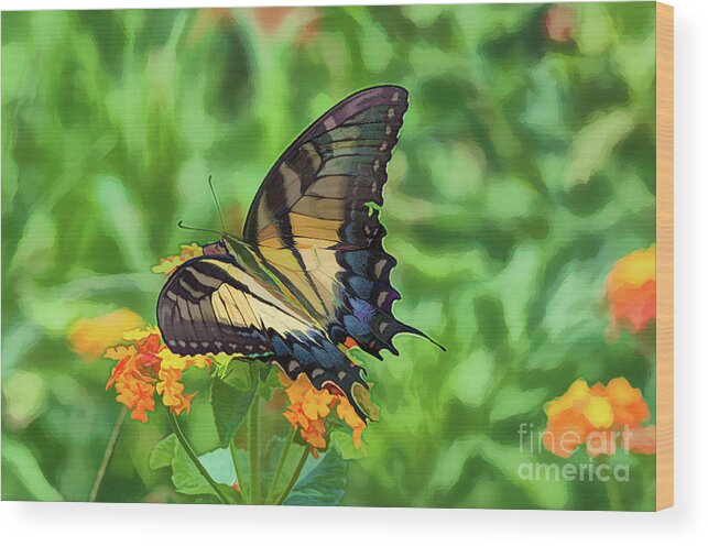 Butterfly Wood Print featuring the photograph Flutterby in the Springtime by Blaine Owens