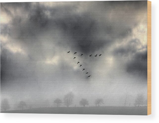 Geese Wood Print featuring the photograph Flying into a Gathering Storm by Wayne King