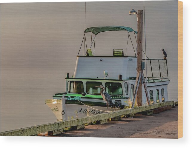  Wood Print featuring the photograph Foggy Beginning in Rustico Harbor by Marcy Wielfaert