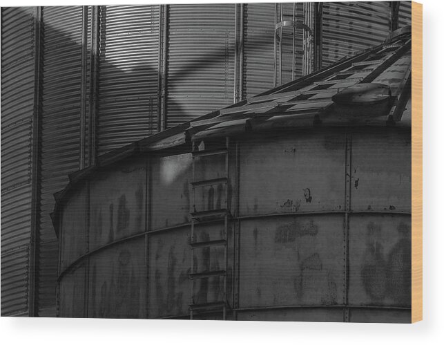 Museum Quality Wood Print featuring the photograph Foggy Iron by Bruce Davis
