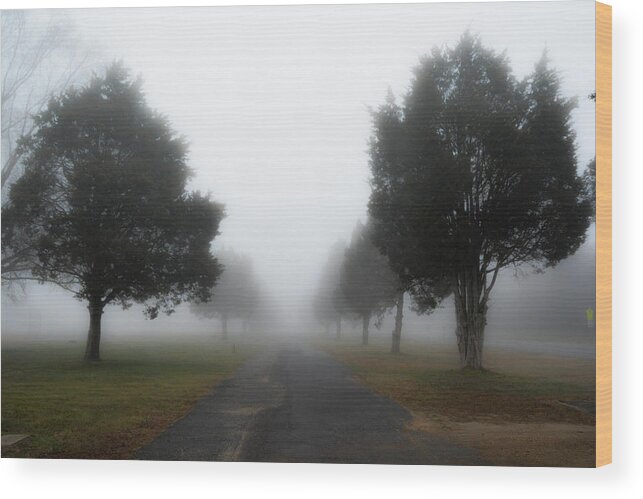 Cedars Wood Print featuring the photograph Foggy Morning by Addison Likins