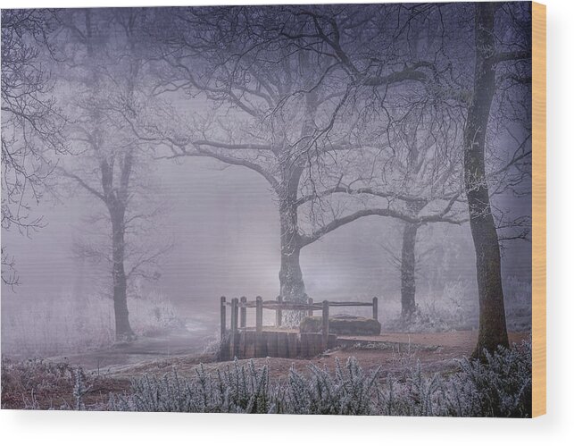 Landscape Wood Print featuring the photograph Foggy point of view by Chris Boulton