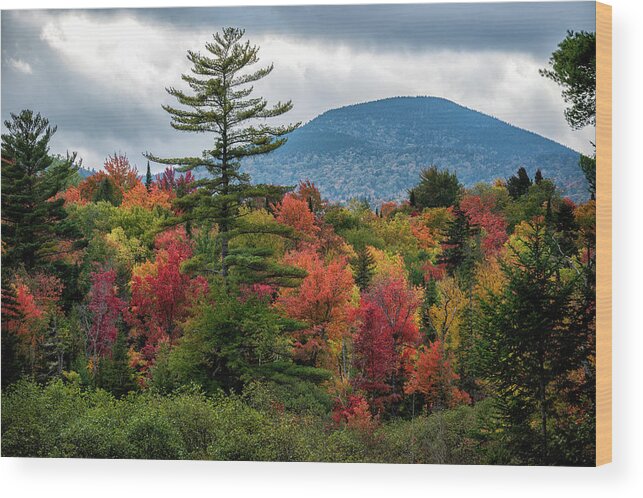 Foliage And Mountain Wood Print featuring the photograph Foliage and Mountain by Mark Papke