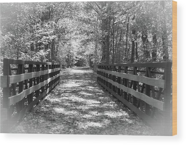 Bridge Wood Print featuring the photograph Wooden Bridge_7744 by Rocco Leone