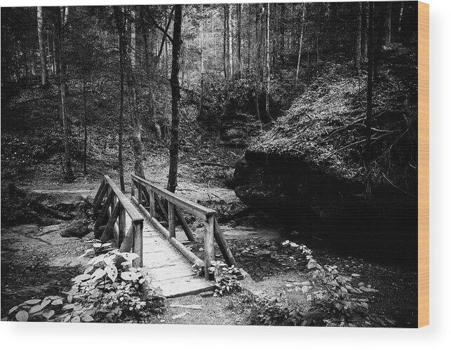 America Wood Print featuring the photograph Footbridge on a trail by Alexey Stiop