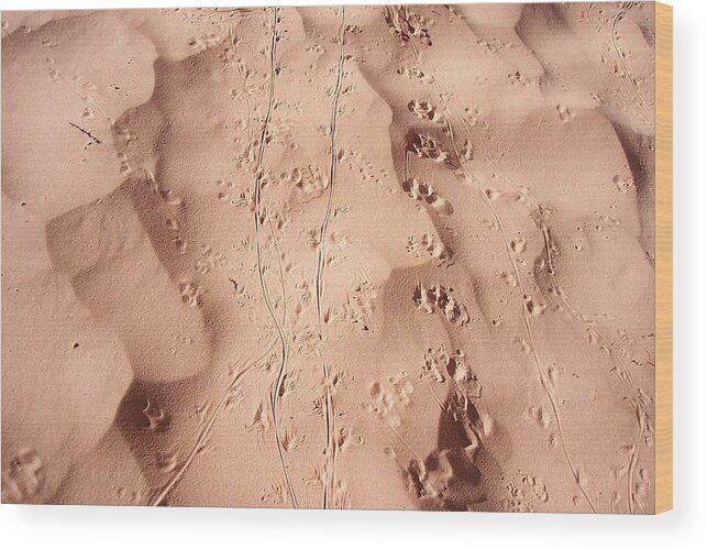 Beach Wood Print featuring the photograph Footprints in the Sand 3 by Adrienne Wilson