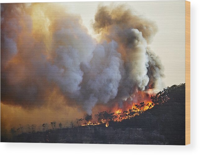 Scenics Wood Print featuring the photograph Forest fire, bushfire with flames and sun illuminated smoke clouds at dusk on mountain ridge, Blue Mountains, Australia by Andrew Merry