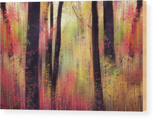Forest Wood Print featuring the photograph Forest Frolic by Jessica Jenney