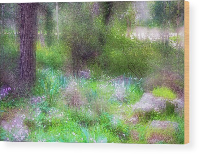 Forest Wood Print featuring the photograph Forest in Winter Blossom 1 by Dubi Roman