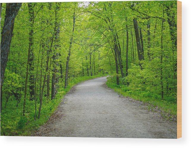 Forest Wood Print featuring the photograph Forest Road by Susan Rydberg