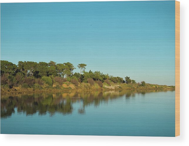 Lake Wood Print featuring the photograph Forests Mirror by Angelo DeVal