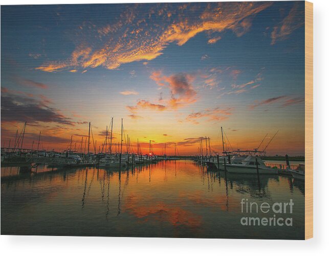 Sun Wood Print featuring the photograph Fort Pierce Marina Sunrise by Tom Claud