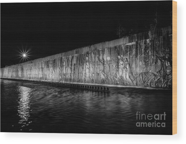 Goose Pagoda Wood Print featuring the photograph Fountain at Night by Iryna Liveoak
