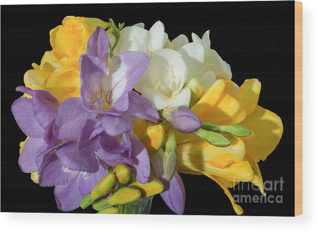 Freesia Wood Print featuring the photograph Freesia Bouquet, 2 by Glenn Franco Simmons