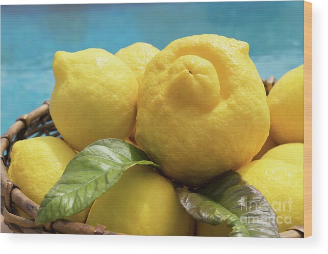 Lemon Tree Wood Print featuring the photograph Sunny yellow lemons in a basket by Adriana Mueller