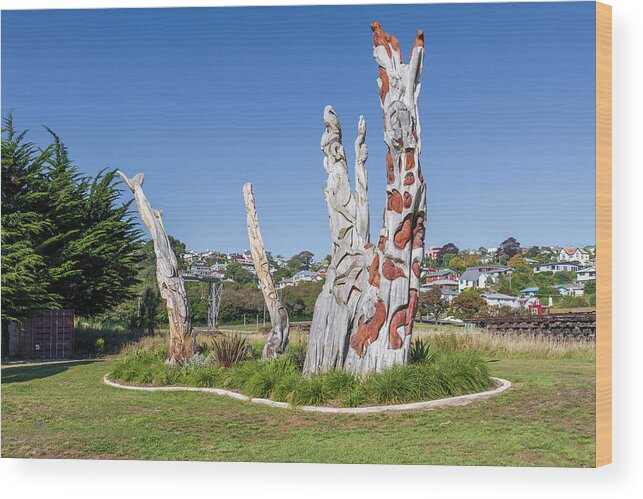 Carvings Wood Print featuring the photograph Friendly Bay Playground, Oamaru, New Zealand by Elaine Teague