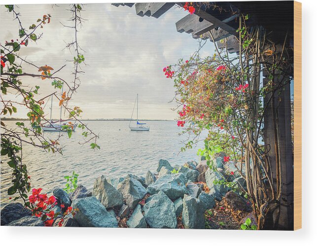 San Diego Wood Print featuring the photograph From Between The Bougainvilleas by Joseph S Giacalone