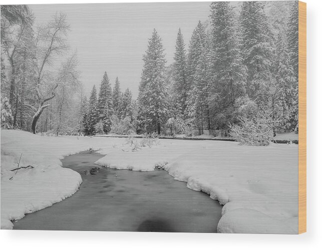 Landscape Wood Print featuring the photograph Frozen Creek by Jonathan Nguyen