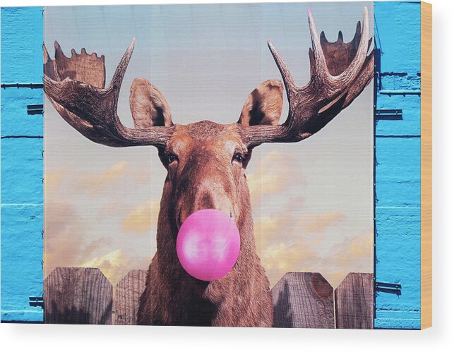Funky Moose Wood Print featuring the photograph Funky Moose by Patty Colabuono