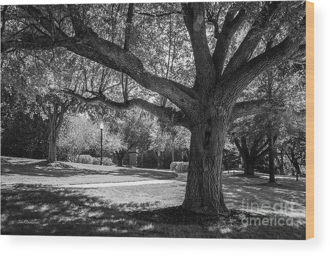 Furman University Wood Print featuring the photograph Furman University Landscape by University Icons