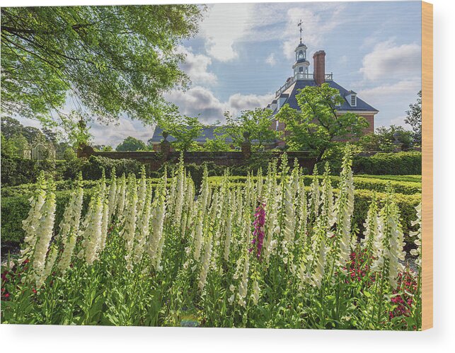 Colonial Williamsburg Wood Print featuring the photograph Garden Flowers at the Governor's Palace by Rachel Morrison
