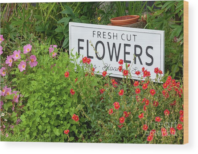Flowers Wood Print featuring the photograph Garden flowers with fresh cut flower sign 0735 by Simon Bratt