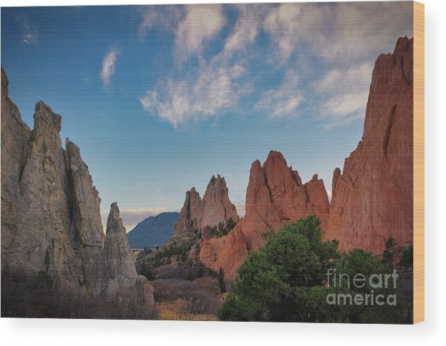 Garden Of The Gods Wood Print featuring the photograph Garden of The Gods by Abigail Diane Photography