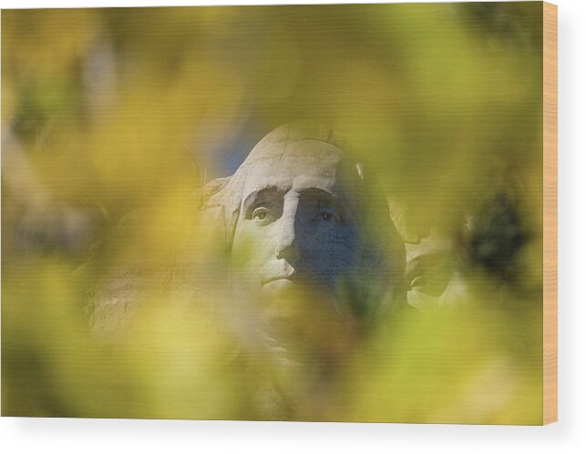 George Washington Mount Rushmore Wood Print featuring the photograph George Washington - Mount Rushmore #1 by David Morehead