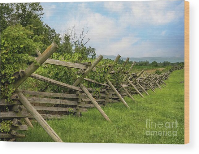 Fence Wood Print featuring the photograph Gettysburg Civil War Fence by Sturgeon Photography