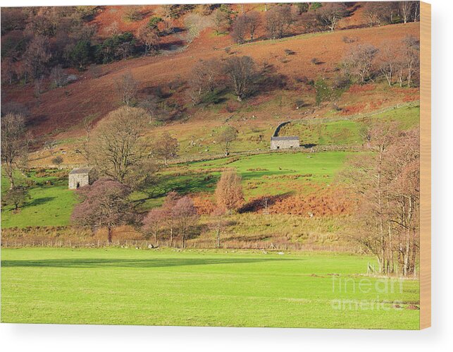 Glencoyne Wood Print featuring the photograph Glencoyne Valley in Lake District National Park by Louise Heusinkveld
