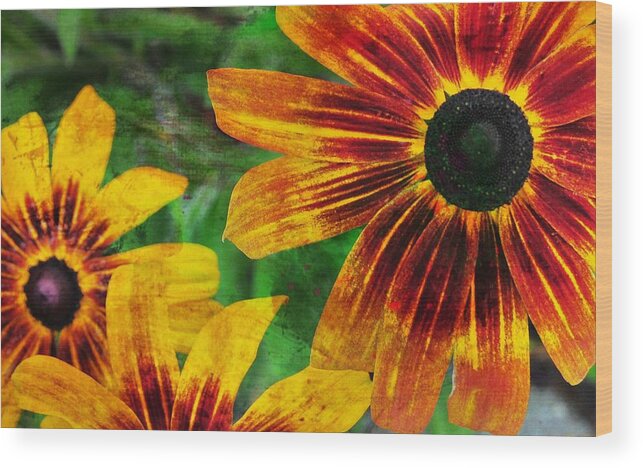 Adorned Wood Print featuring the photograph Gloriosa Daisy by Jamart Photography