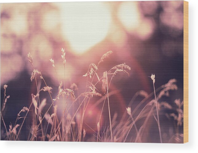 God's Glory Wood Print featuring the photograph Glorious Sun Rings by Marnie Patchett