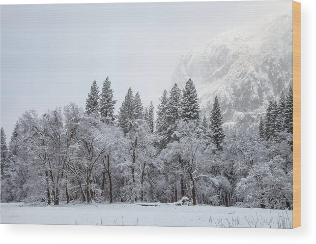 Landscape Wood Print featuring the photograph Glows by Jonathan Nguyen