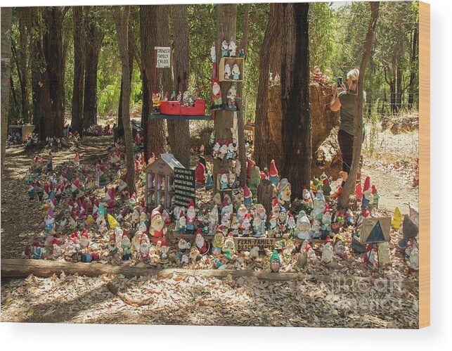 Gnomesville Wood Print featuring the photograph Gnomes at Home by Elaine Teague