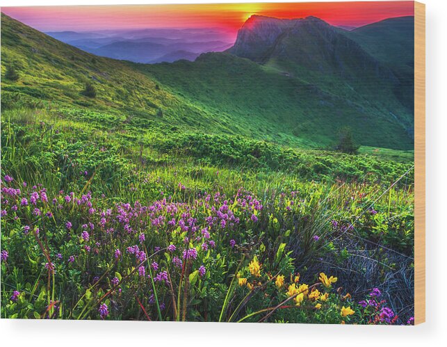 Balkan Mountains Wood Print featuring the photograph Goat Wall by Evgeni Dinev