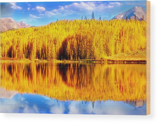 Reflection Wood Print featuring the photograph Reflections of Golden Aspen Trees Over a Fairplay, Colorado Autumn Scene by Lena Owens - OLena Art Vibrant Palette Knife and Graphic Design