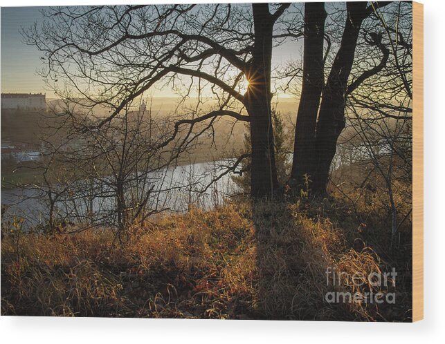 Sunset Wood Print featuring the photograph Golden evening light 1 by Adriana Mueller